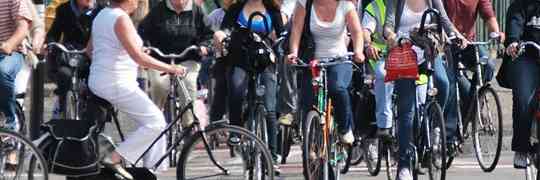 Bicyclists Must Obey Laws If They Want to Share the Roads